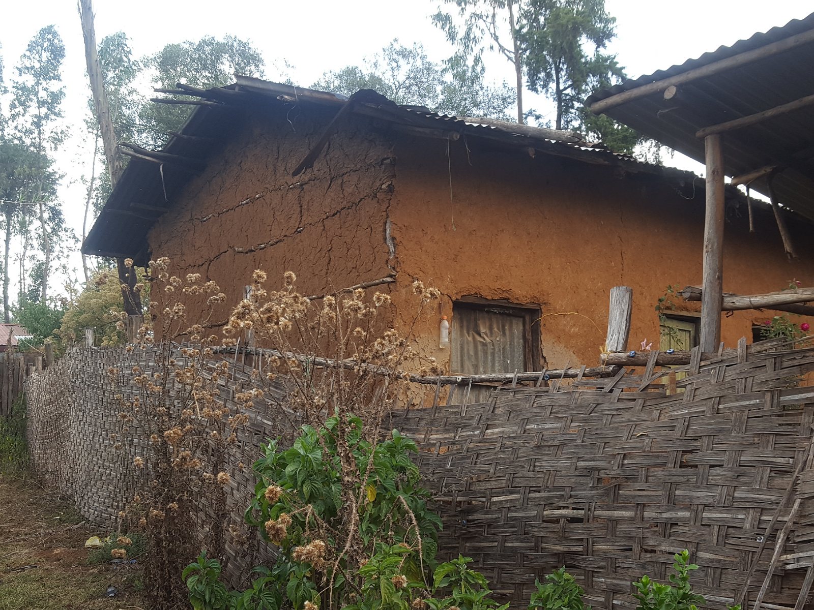 73. Budynek o ścianach ze 'słomo-gliny' w mieście Debre Markos w Etiopii.