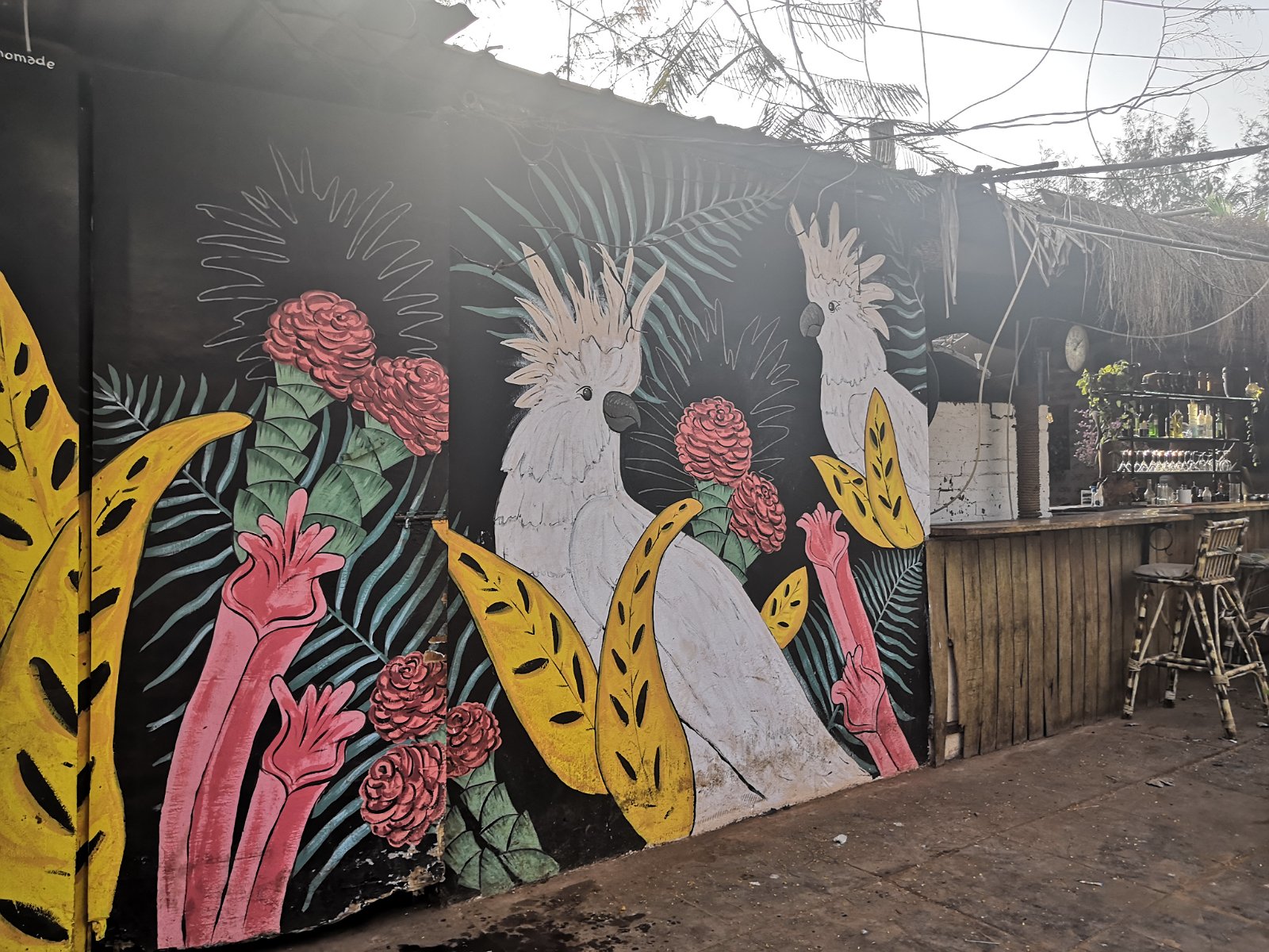 15. Mural w miejscowości Agonda.